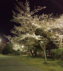 松ヶ岡公園